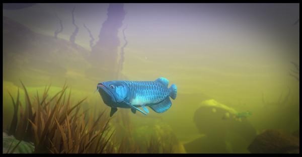 Feed And Grow Fish Download Free