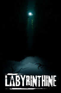 labyrinthine 5