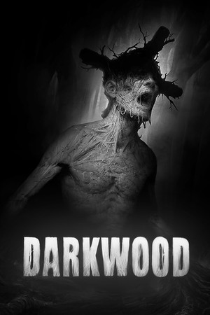darkwood 5