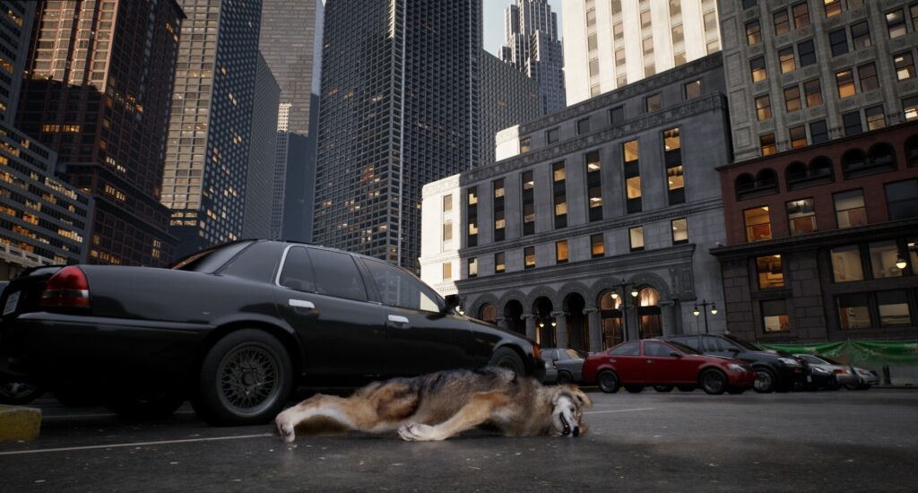 wolf-in-the-city_2