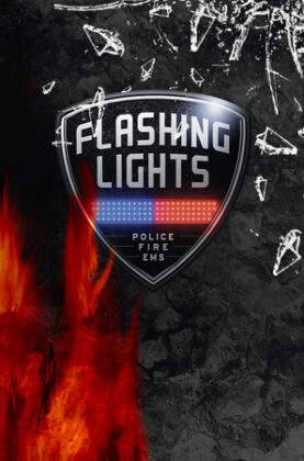 flashing-lights-police-firefighting-emergency-services-ems-simulator 5